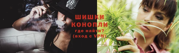 дмт Богородицк