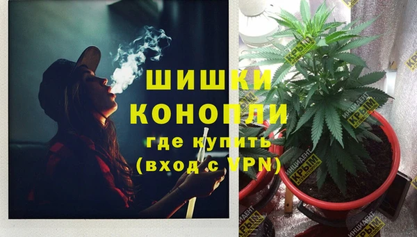 дживик Богданович