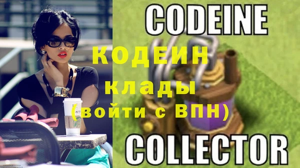 прущие грибы Щигры