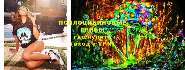 дмт Богородицк